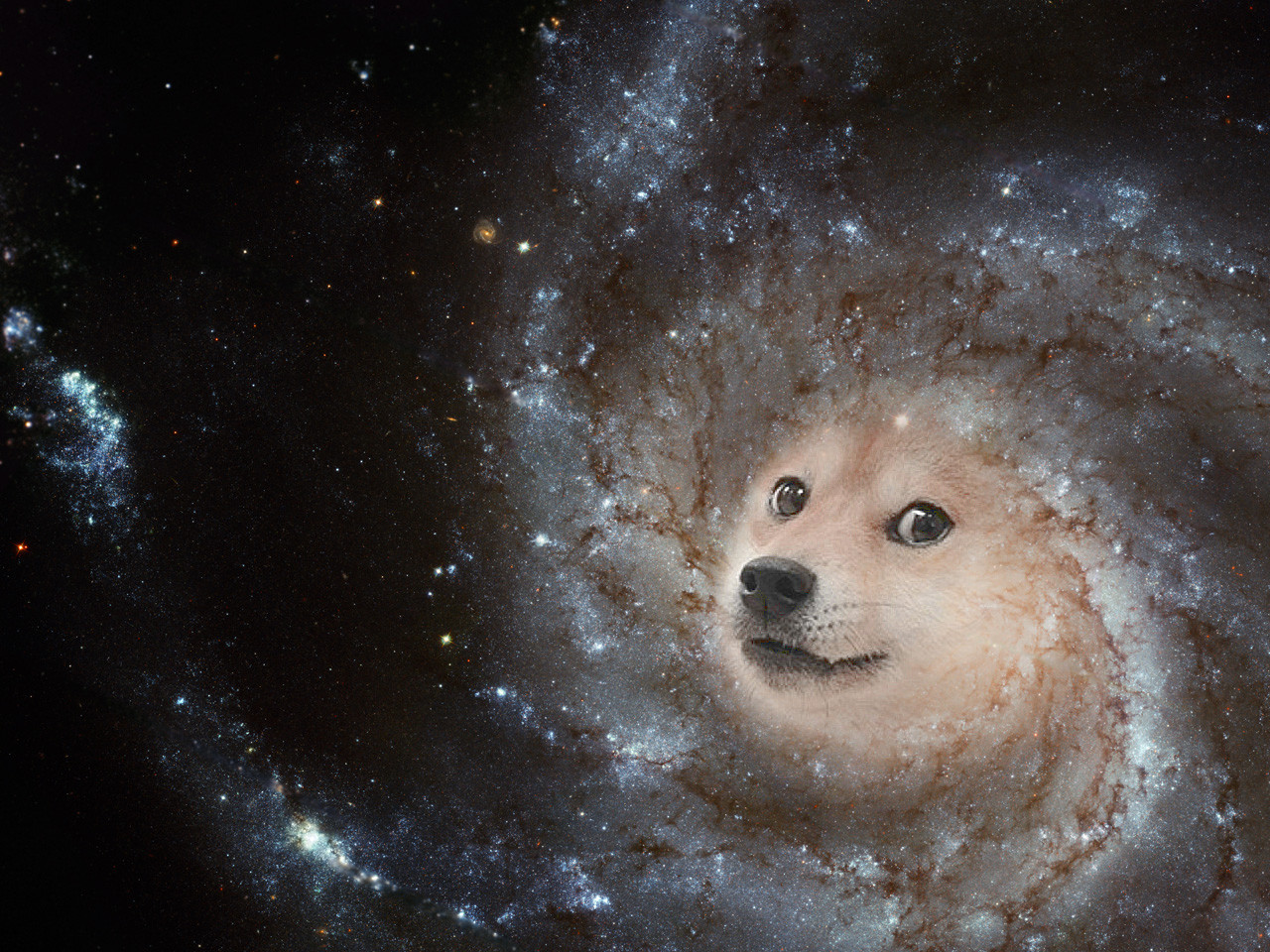 Doge est une image bistable de la sidération : son indécidable expression est à la fois de l’ordre de la stupeur pascalienne devant l’immensité des espaces infinis (dans le cas Doge c’est devant le profus en général) et de la fascination transitive mais inapte à caractériser proprement son objet.